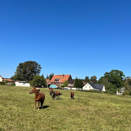 Ferienwohnung Kottmar Walddorf  Dış mekan fotoğraf